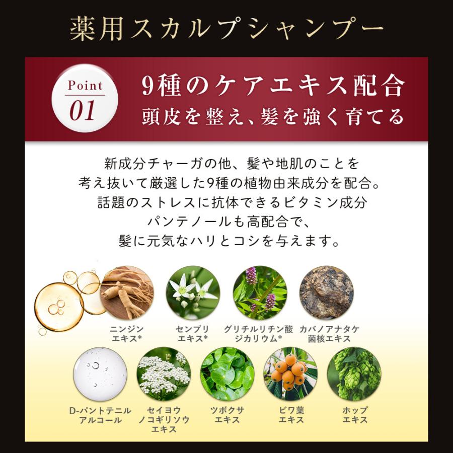 レフィーネ ザ・チャーガ 薬用 育毛剤 & スカルプシャンプー セット