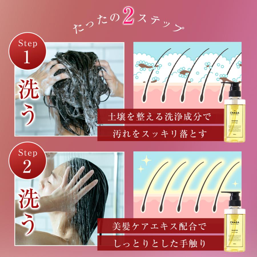 レフィーネ 頭皮ケアシャンプー ザ チャーガ 薬用 スカルプシャンプー