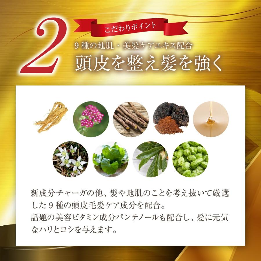 レフィーネ 頭皮ケア ザ チャーガ 薬用 スカルプシャンプー (290mL