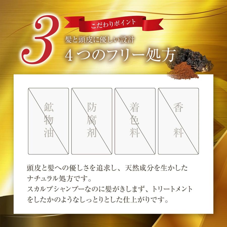 レフィーネ 頭皮ケア ザ チャーガ 薬用 スカルプシャンプー (290mL