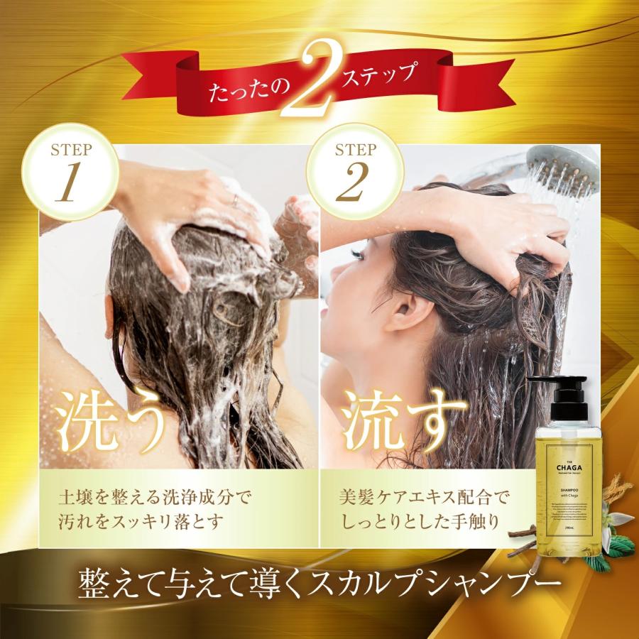 レフィーネ 頭皮ケア ザ チャーガ 薬用 スカルプシャンプー (290mL