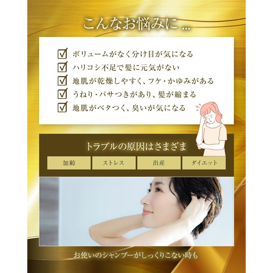 レフィーネ 頭皮ケア ザ チャーガ 薬用 スカルプシャンプー (290mL