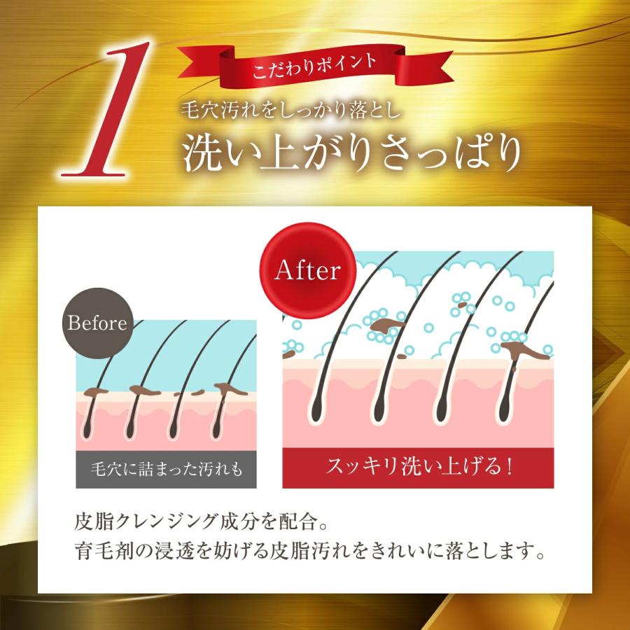 レフィーネ 頭皮ケア ザ チャーガ 薬用 スカルプシャンプー (290mL