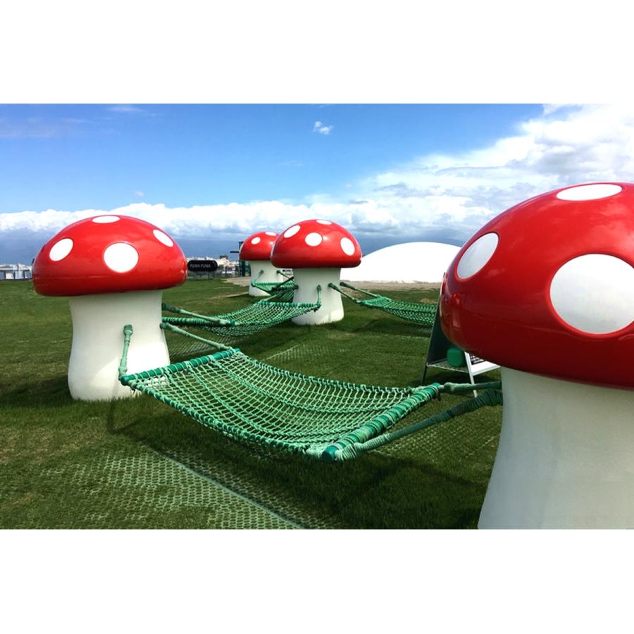 即納最大半額 芝生保護 芝生養生 ゴムマット グラスマットｇｗ グリーン すべり止め 芝生施工 緑化 駐車場 雪対策 激安 即納 Yalaphone Com