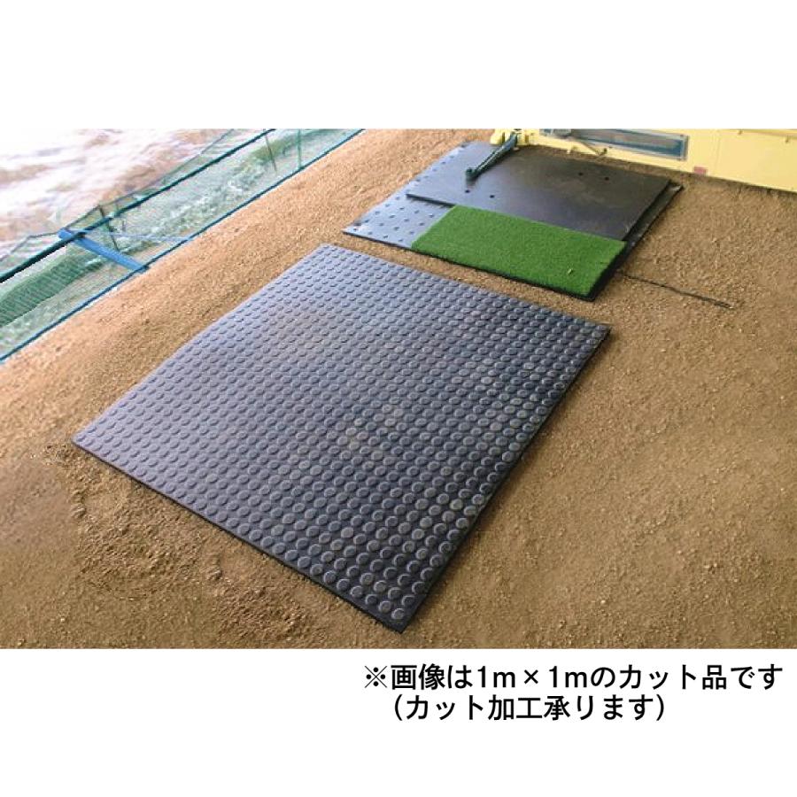 ゴムマット　耐スパイク性　ダッグアウト　練習場　厚 18ｍｍ　スパイクマット　広島化成　二層品　レンガ　1枚　ゴルフ場　仮設　突起有　幅1ｍ　長さ2ｍ |  | 08
