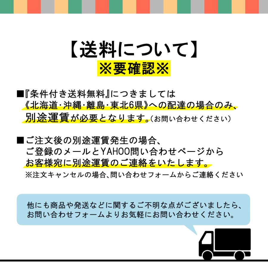 舗装材　ゴムチップ　ブロック　15mm　ロードパル　個人宅配達可　床材　レンガ色　11枚組　DIY　学校　保育施設　介護施設　広島化成　ゴルフ