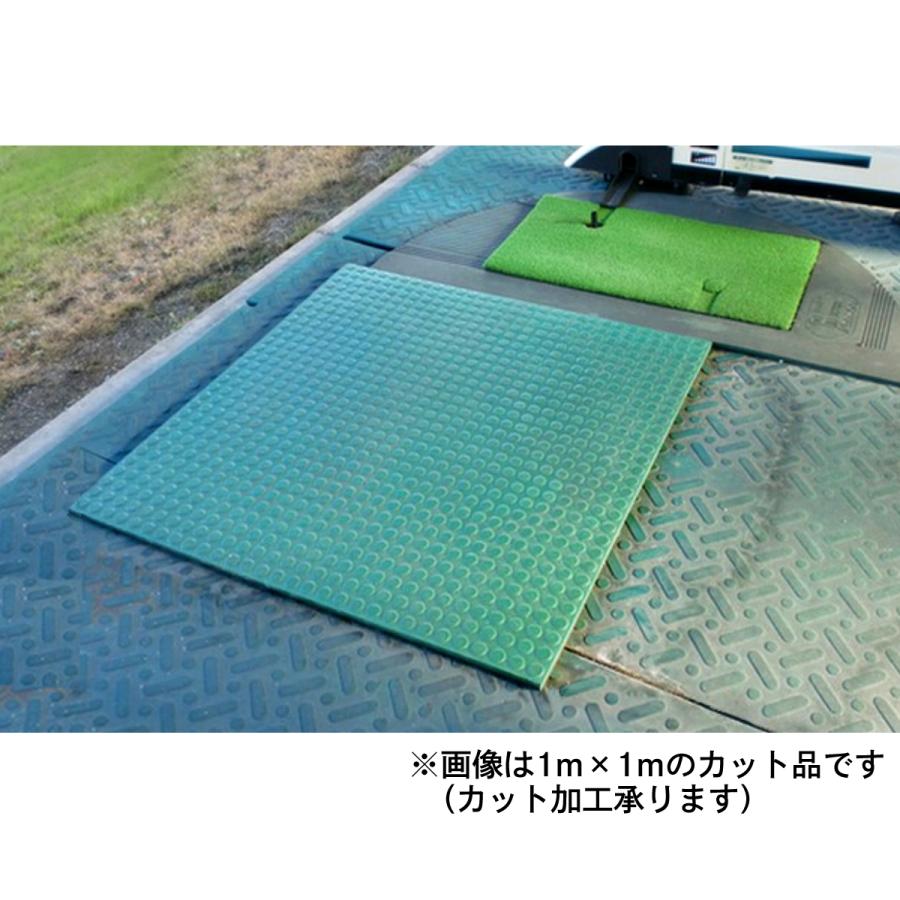 ゴムマット　耐スパイク性　ダッグアウト　練習場　厚 18ｍｍ　スパイクマット　広島化成　二層品　グリーン　5枚組　ゴルフ場　仮設　突起有　幅1ｍ　長さ2ｍ |  | 06