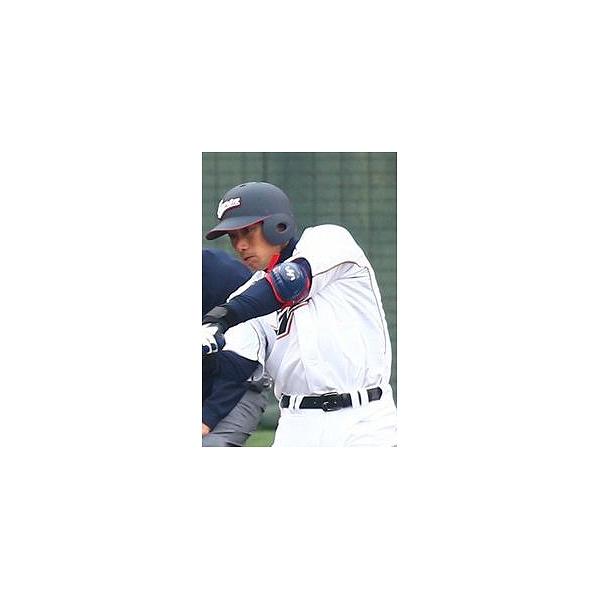 ハタケヤマ 野球 HATAKEYAMA 打者用 防具 2点セット アーム ハタケヤマ 野球 HATAKEYAMA 打者用 防具 2点セット アーム