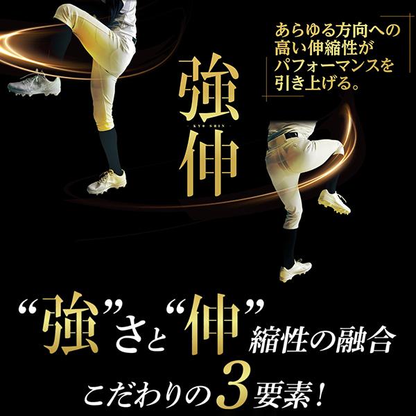 MIZUNO（ミズノ） 【サイズ交換送料無料】ミズノプロ 野球ズボン