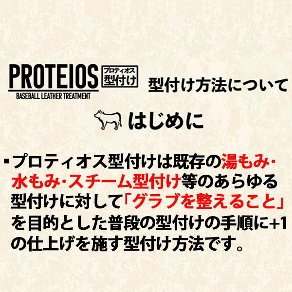 【プロティオス型付け込み/代引、後払い不可 】野球 ATOMS アトムズ 硬式用 グローブ グラブ 硬式グローブ 高校野球対応プロフェッショナルライン+ (ERM リスト)の画像