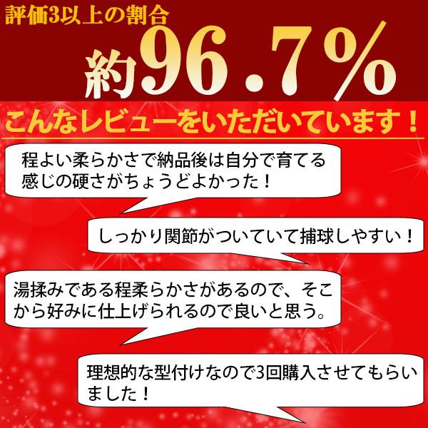 【プロティオス型付け込み/代引、後払い不可 】野球 ATOMS アトムズ 硬式用 グローブ グラブ 硬式グローブ 高校野球対応プロフェッショナルライン+ (ERM リスト)の画像