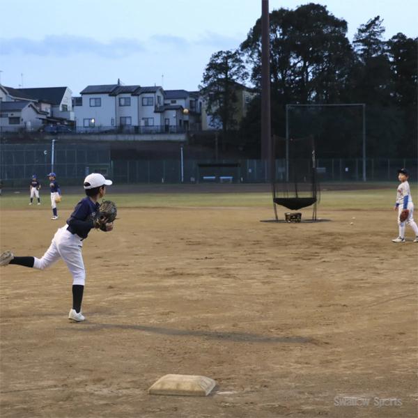 野球 フィールドフォース 全方位集球ネット-360° トレーニング かごセット FZHSN-360-FPBC-5035 Fieldforce 野球用品 スワロースポーツの画像
