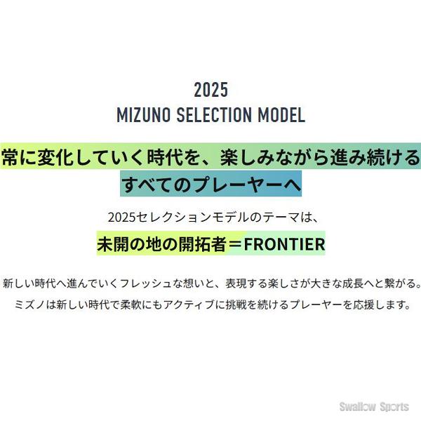 MIZUNO（ミズノ） 野球 ミズノプロ 防具 セット エルボーガード フット