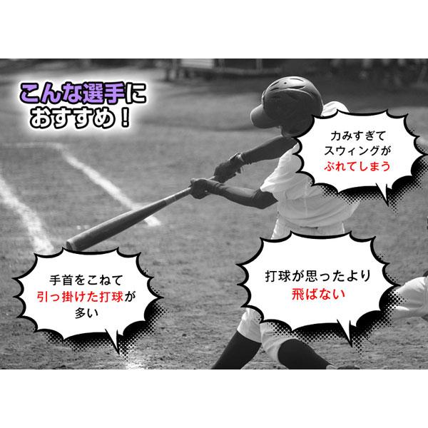 FIELD FORCE（フィールドフォース） 野球 室内 素振り バット 軟式