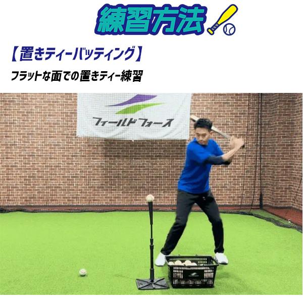 FIELD FORCE（フィールドフォース） 野球 一般用 トレーニング バット
