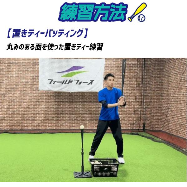 FIELD FORCE（フィールドフォース） 野球 一般用 トレーニング バット