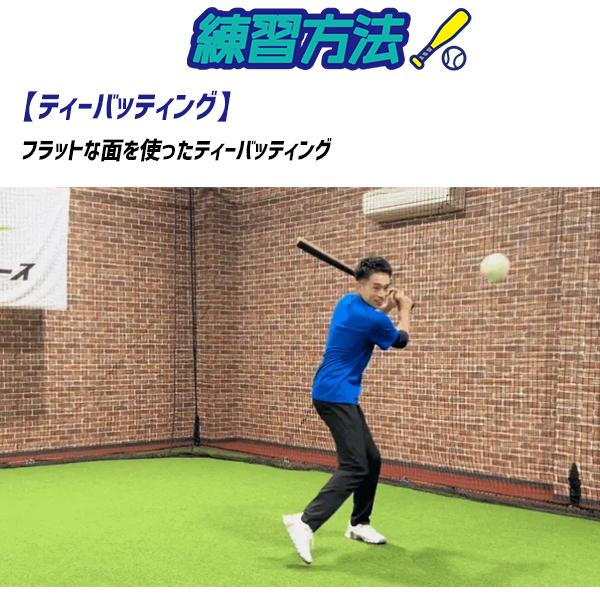 FIELD FORCE（フィールドフォース） 野球 一般用 トレーニング バット