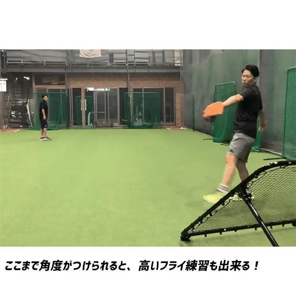 野球 フィールドフォース NEW 移動式フィールディング ネット FMFN-1610 Fieldforce 野球用品 スワロースポーツの画像