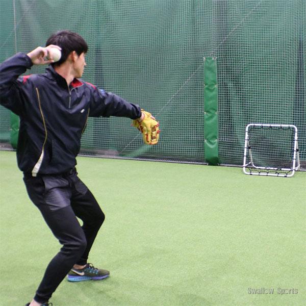 FIELD FORCE（フィールドフォース） 野球 フィールディングネット イ