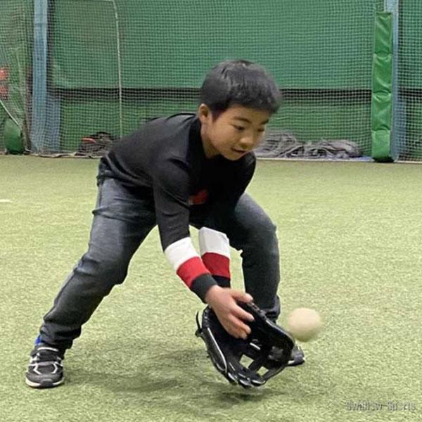 FIELD FORCE（フィールドフォース） 【湯もみ型付け不可】野球 少年