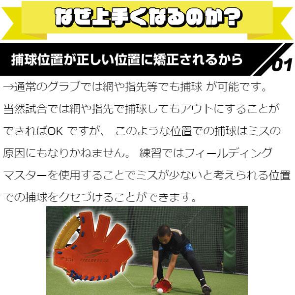 FIELD FORCE 【湯もみ型付け不可】野球 フィールドフォース FIELD FORCE 【湯もみ型付け不可】野球 フィールドフォース