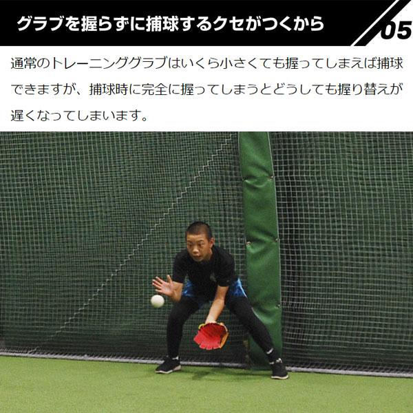 FIELD FORCE 【湯もみ型付け不可】野球 フィールドフォース FIELD FORCE 【湯もみ型付け不可】野球 フィールドフォース