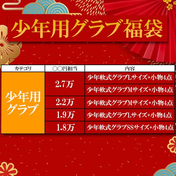 後払い】4.5万円相当！ 高品質 上下ウェア＋8点セット 松 スワロー