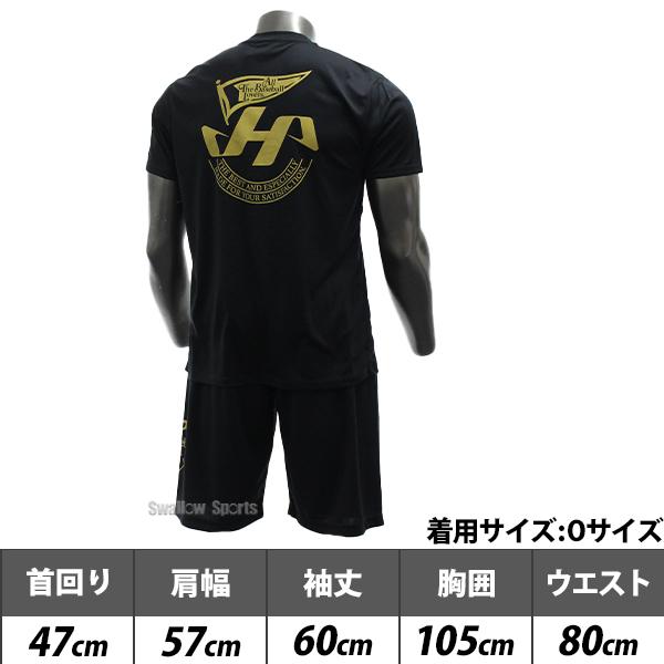 ハタケヤマ（HATAKEYAMA） 野球 セミオーダー ライトTシャツ ドライ