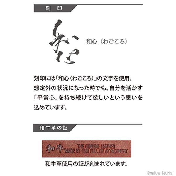 野球 ハタケヤマ 硬式 キャッチャーミット 一般 キャッチャー 捕手用 PBW-M02eb HATAKEYAMA 右投用 野球部 高校野球 硬式用 硬式野球 野球用品 スワロースポーツの画像