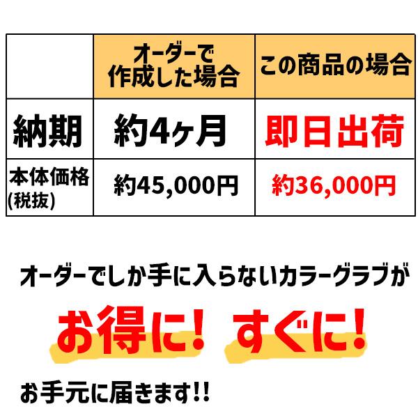 野球 アイピーセレクト プログレスRBコレクション 軟式グローブ グラブ 軟式用 内野手用 スワロー限定 大人用 一般用 Ip053-Pr-SG1 IpSelect 野球用品スワロース_2