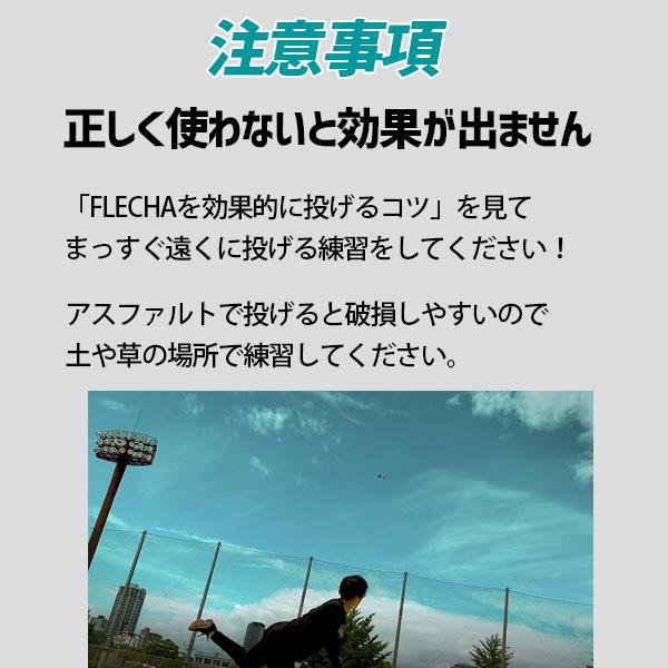 アイピーセレクト FLECHA フレーチャ トレーニング 野球 練習 tai-spo_ip9000