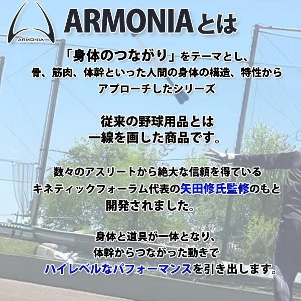 アルモニーシリーズ フレーチャ アイピーセレクト フレーチャ アルモニーア 野球 ジャベリン