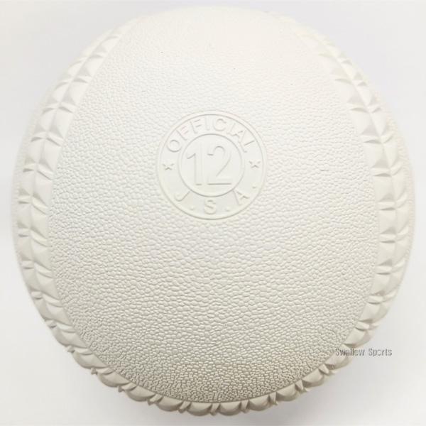 NAGASE KENKO（ナガセケンコー） ソフトボール 新規格 新意匠 12インチ