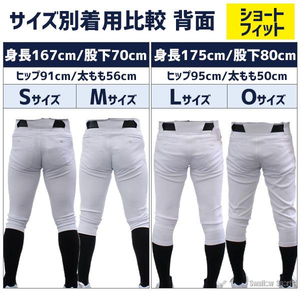 【サイズ交換送料無料】 野球 ダース ユニフォームパンツ 野球ズボン 下 練習着 ウェア ボトムス 大人用 一般用 スワロースポーツ | ブランド登録なし | 12