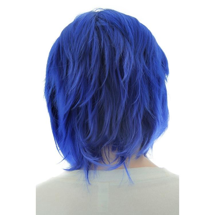 宣伝 キャスト メカニック 青色 ウィッグ Jukunen Kentei Jp