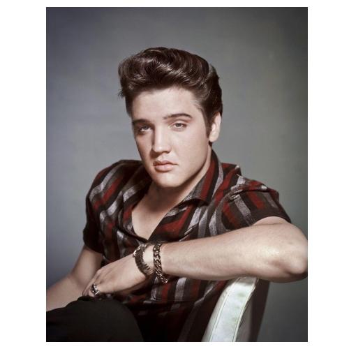 ティンサイン Elvis Portrait MS2433 | 