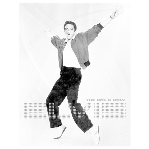 ティンサイン Elvis B&W MS2552 | 