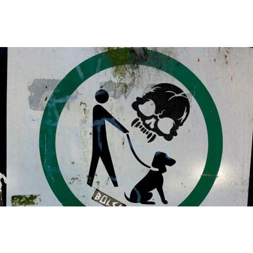 3-D カットアウト ステッカー Lサイズ ブルータル スカル #005 |  | 02