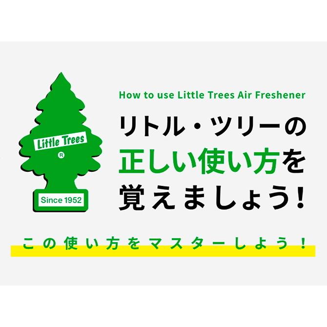 リトル ツリー Little Tree 人気ベスト24 各1枚 マニア 養成 専用box セット Lt 24 Lt 24 Sweet Water American Mart 通販 Yahoo ショッピング