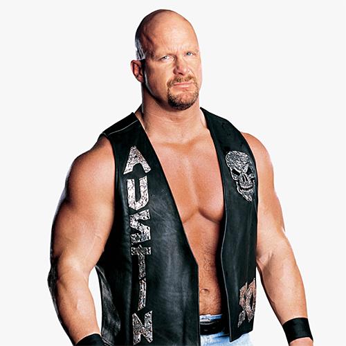 FlexFigs WWE Legends ベンダブル 