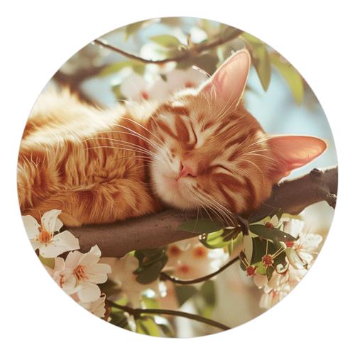 ＜ラバー コースター＞　猫 オン チェリーツリー　吸水タイプコースター | 