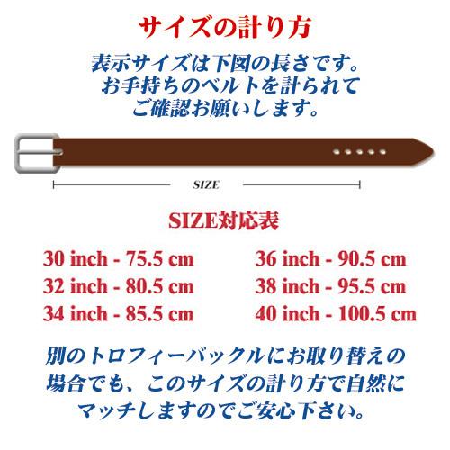JUSTIN（Ray-Ban） ジャスティン （JUSTIN） ウエスタンベルト WORK