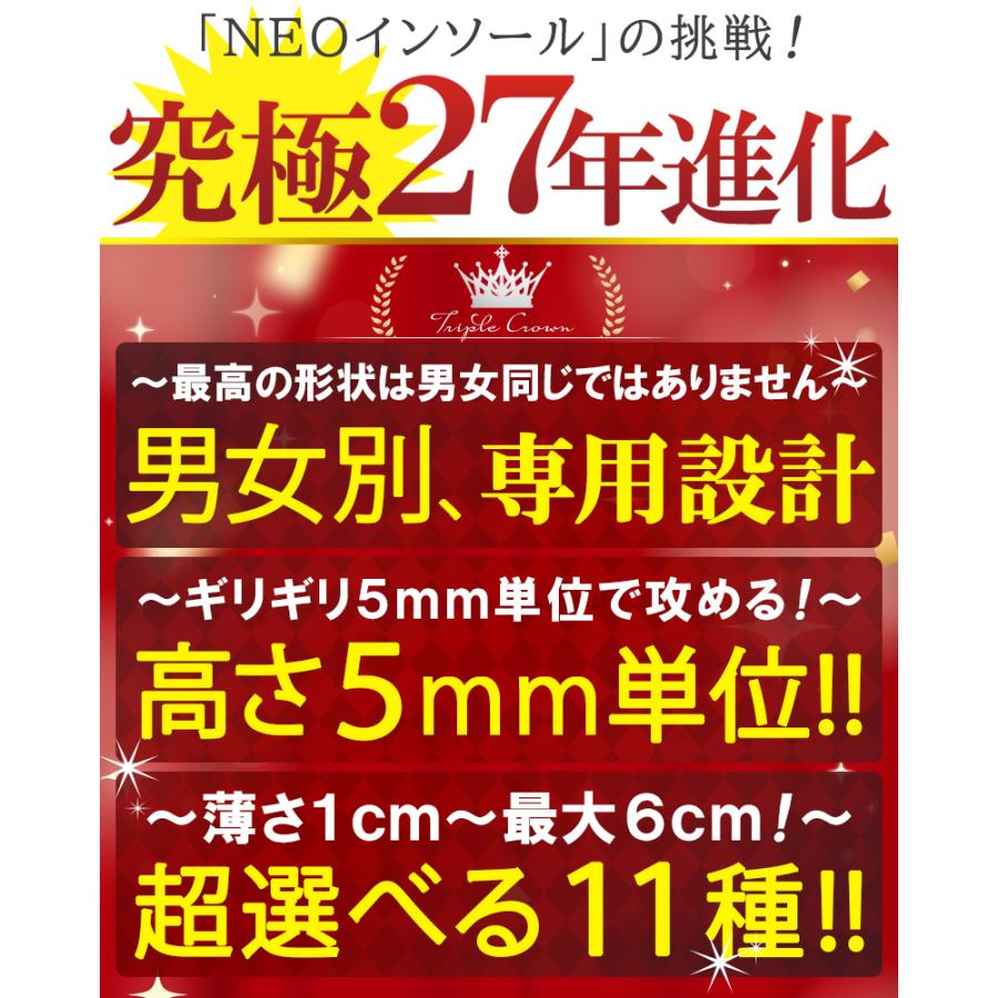 インソール 中敷き シークレットシューズ メンズ レディース
