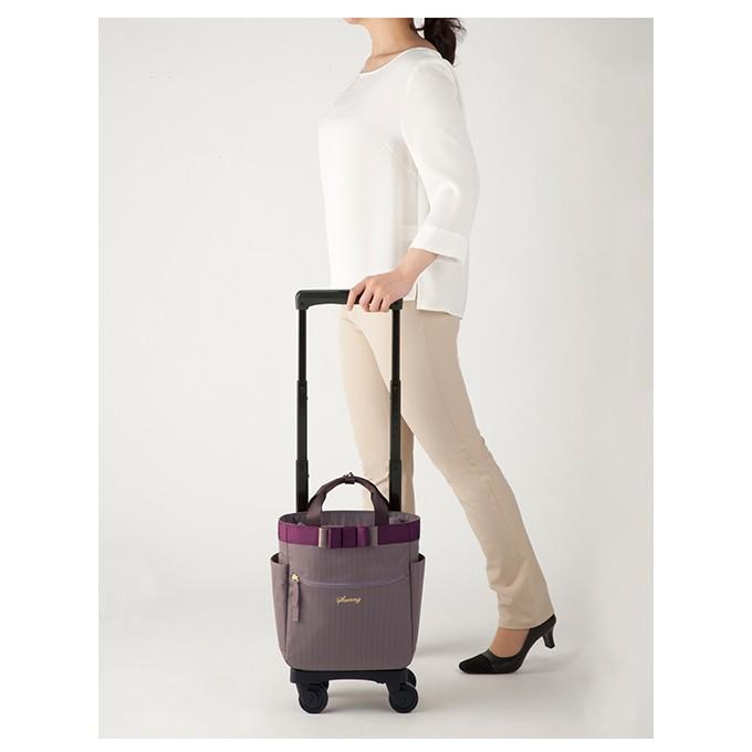 スワニーキャリーバッグ D-408 ルバンドミニ (TS15) ブラック <4輪  