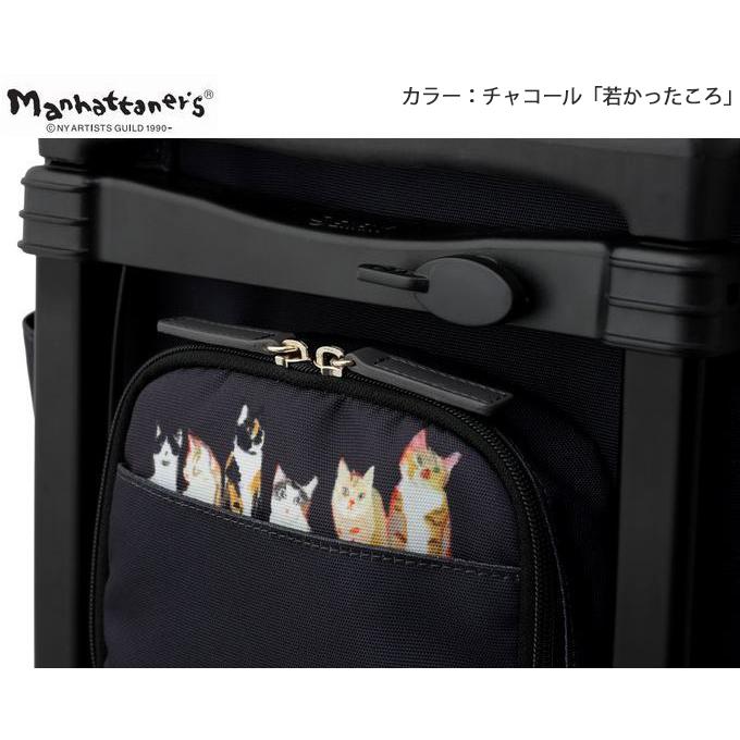 SWANY スワニー　キャリーバッグ ベージュ ブラック　美品 近沢レース店×スワニー SWANY キャリーバッグ ノワール Mサイズ