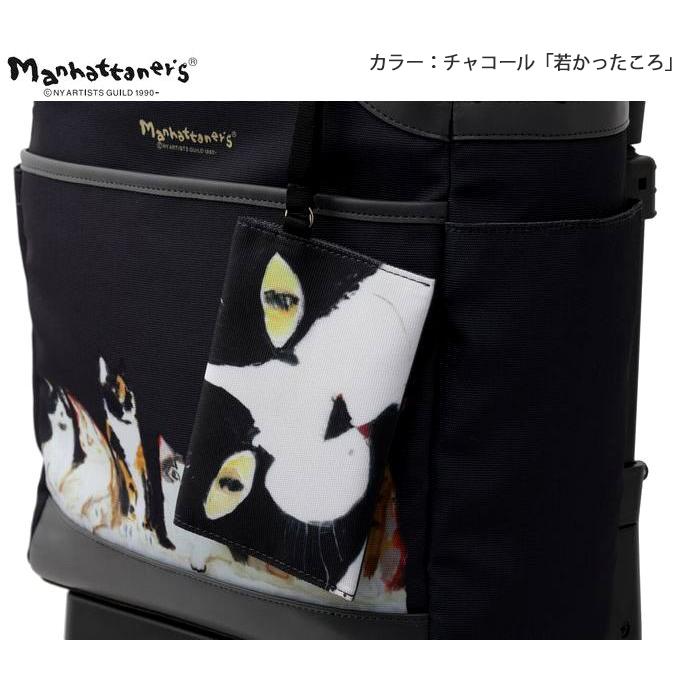 SWANY（スワニー） キャリーバッグ 公式 ショッピングカート キャリー