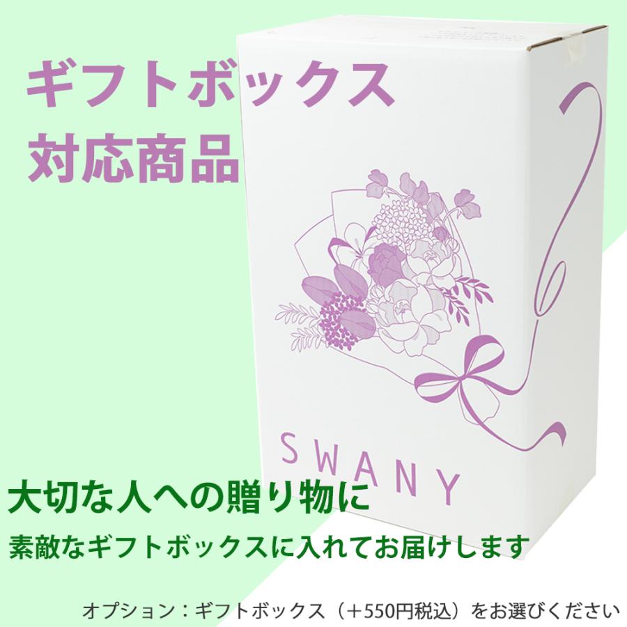 SWANY（スワニー） キャリーバッグ 公式 ショッピングカート キャリー