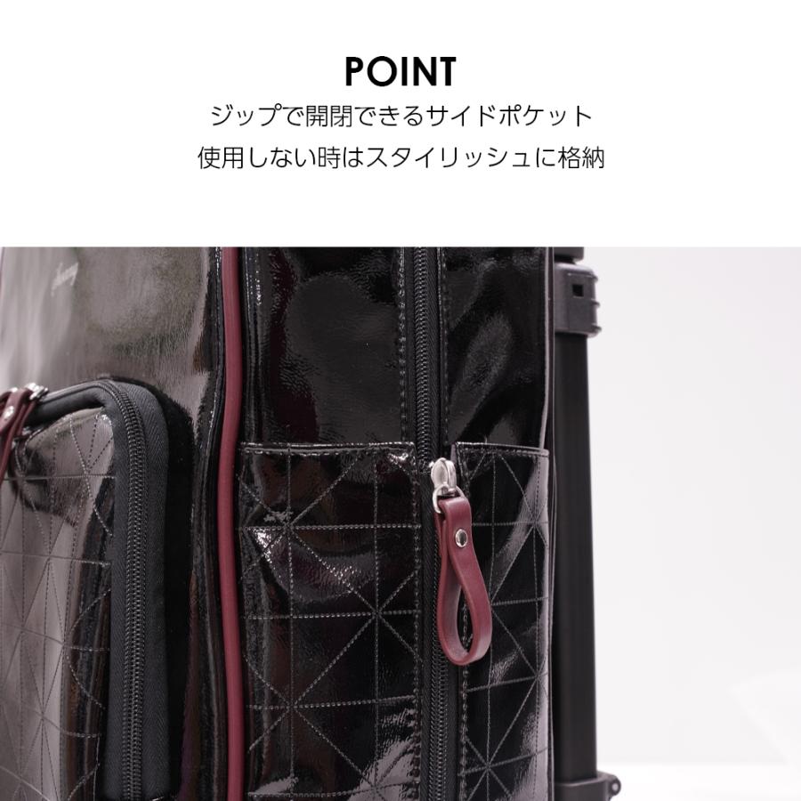 SWANY（スワニー） キャリーバッグ 公式 ショッピングカート キャリー