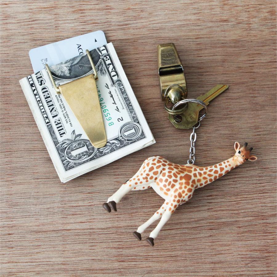 DETAIL キリン Giraffeサイエンスアンドネイチャー science and DETAIL キリン Giraffeサイエンスアンドネイチャー science and