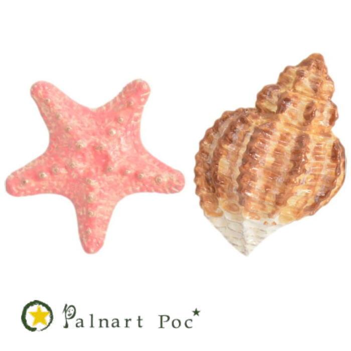 パルナートポック イヤリング シェル PalnartPoc 2406 | Palnart Poc